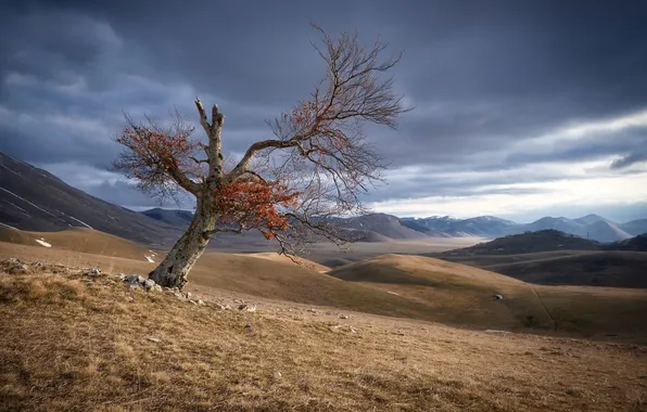 Umbria, Castelluccio, Norcia