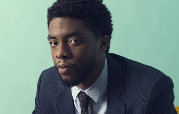 Взгляд, актёр, зелёный фон, Chadwick Boseman