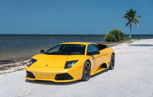 Картинка желтый, Lamborghini, Lamborghini Murcielago, Murcielago, ламборгини
