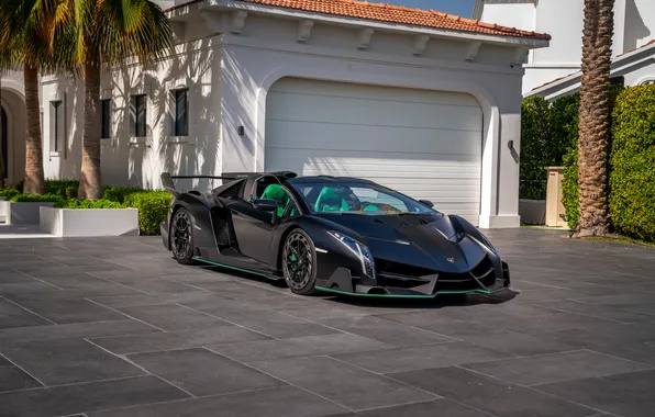 Roadster, Lamborghini, суперкар, supercar, экстерьер, 2014, Veneno, единственный экземпляр