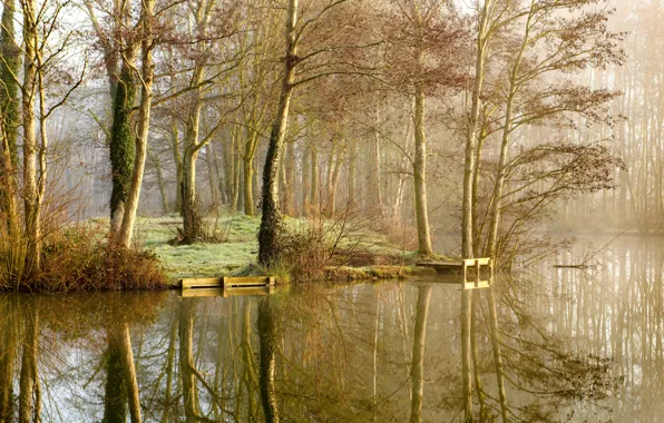 Картинка осень, деревья, природа, туман, озеро, парк, отражение