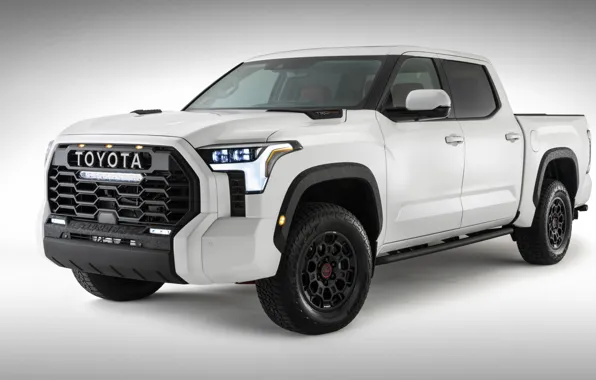 Toyota, пикап, экстерьер, Тойота, Tundra, светло-серый фон, 2022, TRD Pro