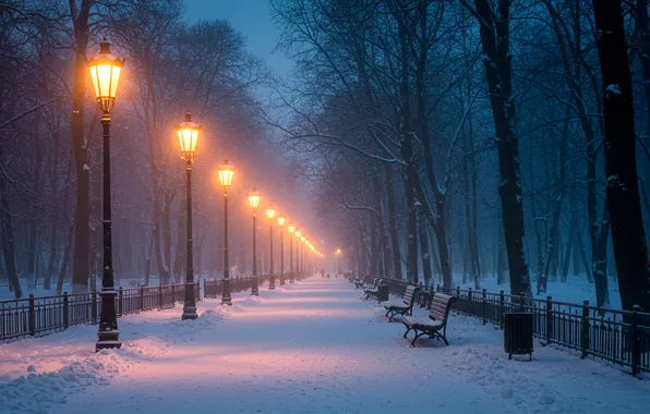 Снег, парк, фонарь, алея, зама