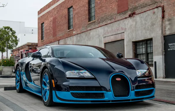 Car, veyron, bugatti, super, vitesse