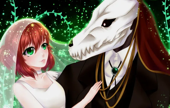 Mahou Tsukai no Yome, Невеста чародея, Чисе, Элиас