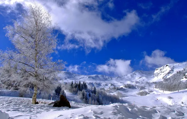 Картинка зима, небо, облака, снег, деревья, горы, склон