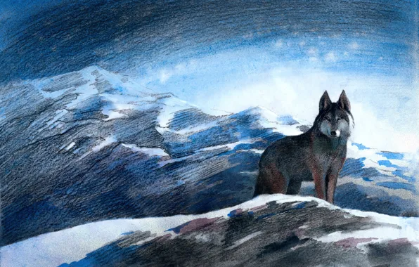 Картинка зима, горы, голубые глаза, серый волк, Айбек Бегалин, Иллюстрации к Айтматову, Плаха цветная