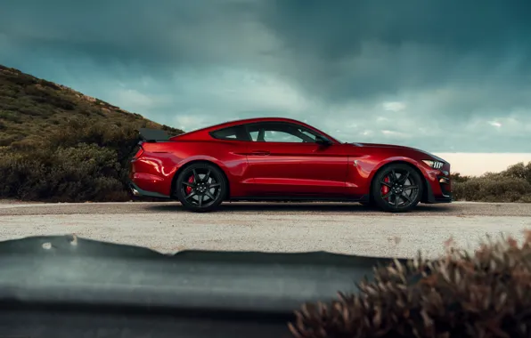 Mustang, Ford, Shelby, GT500, профиль, кровавый, 2019