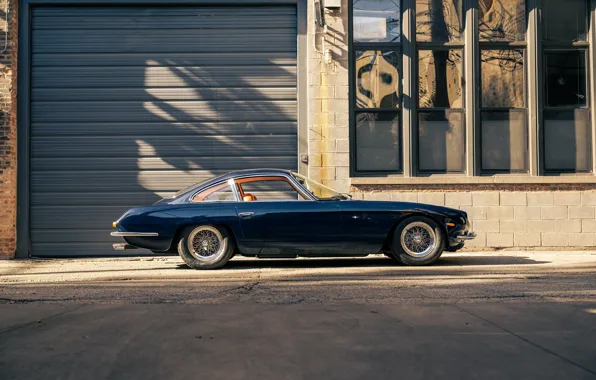 Картинка Lamborghini, vintage, 1965, 350 GT, Lamborghini 350 GT