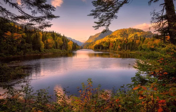 Осень, лес, деревья, горы, ветки, река, Канада, Canada