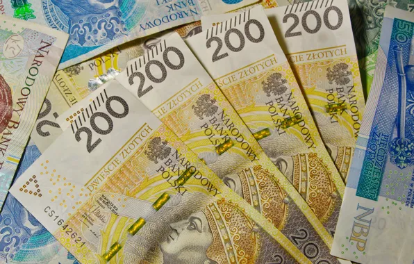 Money, wealth, bank note