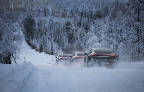 Картинка дорога, лес, снег, движение, Porsche, 2020, Taycan, Taycan 4S