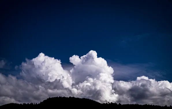 Clouds, Sky, Blue, View, Forest, Sunny, Woods, Hillside