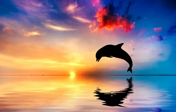 Закат, дельфин, отражение, океан, прыжок, силуэт