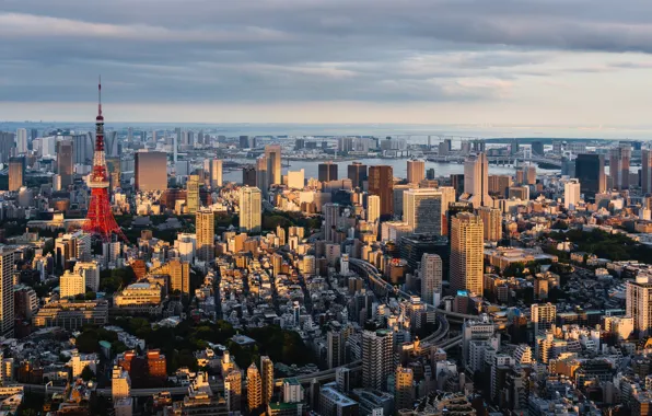 Здания, Япония, Токио, панорама, телебашня
