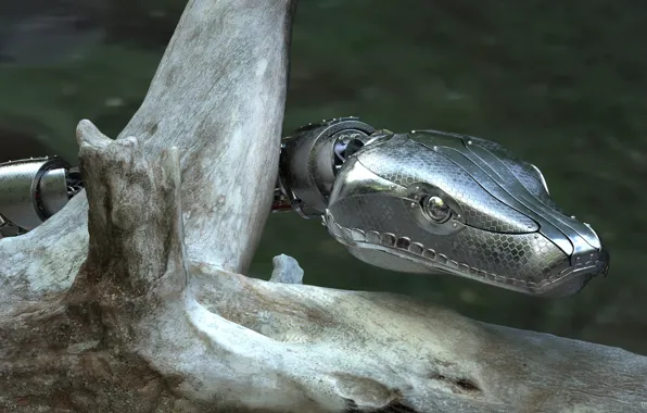 Змея, коряга, RoboSnake