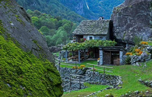 Картинка пейзаж, горы, природа, дом, Швейцария, ограждение, леса