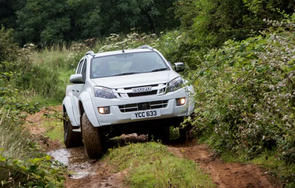 Картинка трава, пикап, Isuzu, 2016, Arctic Trucks, D-Max, UK version, AT35