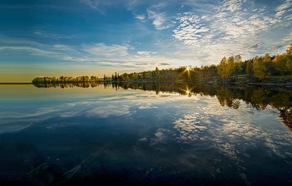 Осень, деревья, озеро, отражение, Норвегия, Norway, Maridalsvannet lake, Maridalen