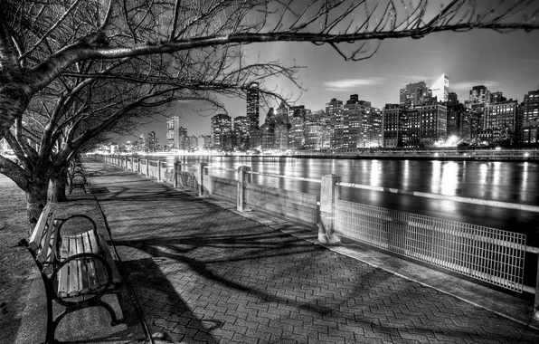 Деревья, ночь, город, черно-белый, Нью-Йорк, USA, США, скамейки