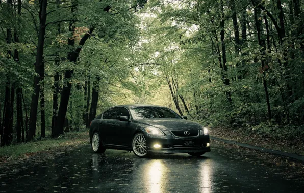 Дорога, лето, дождь, Lexus