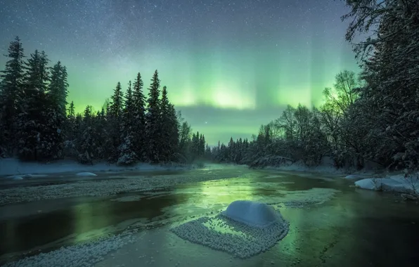 Картинка зима, лес, небо, снег, ночь, природа, река, северное сияние