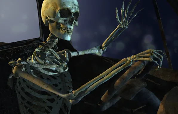 Картинка skull, pose, bones, sitting