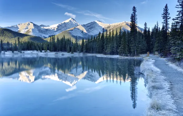 Картинка зима, лес, небо, снег, деревья, пейзаж, горы, Канада