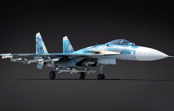 СССР, Су-33, Палубный истребитель, ОКБ П.О. Сухого