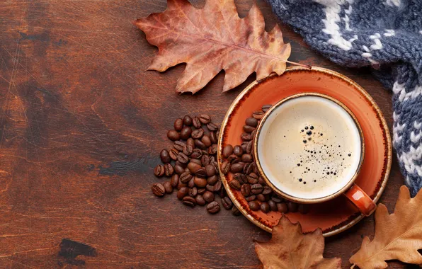 Осень, листья, зерна, wood, autumn, leaves, cup, beans