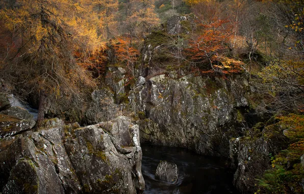 Картинка осень, лес, деревья, природа, скалы