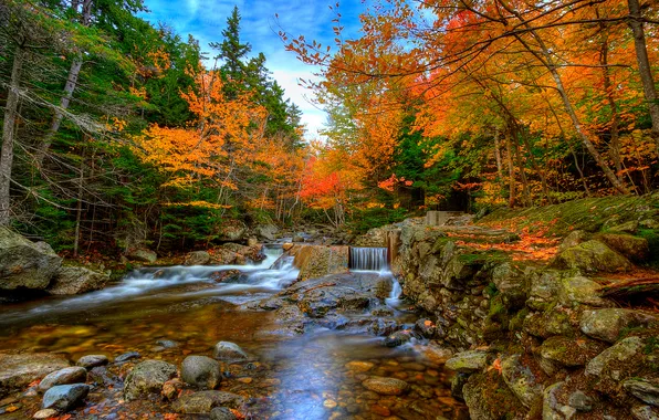 Картинка осень, лес, небо, деревья, река, камни, поток, каскад