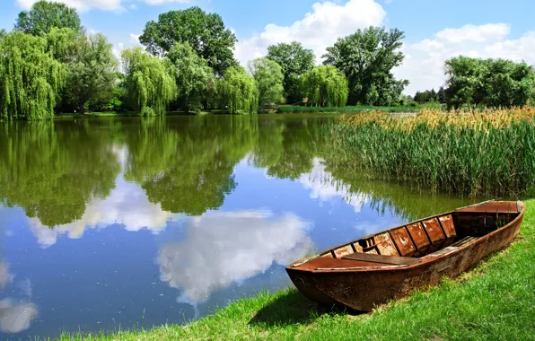 Forest, field, lake, beautiful landscape, boat