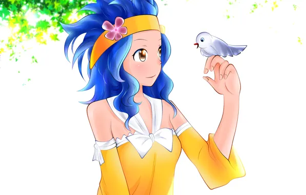 Девушка, птичка, Fairy Tail, Леви, Хвост феи