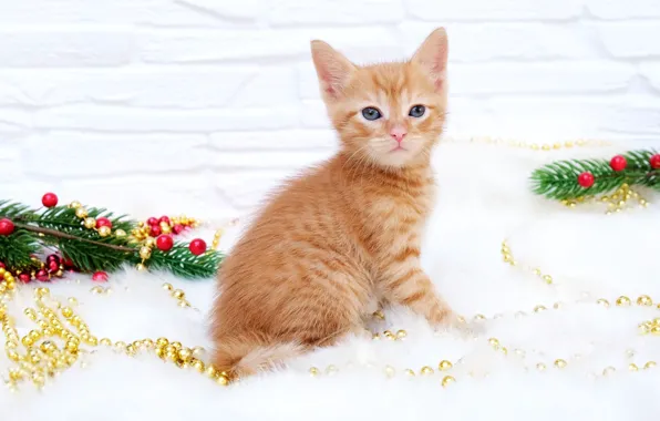 Кошка, взгляд, поза, котенок, рыжий, Рождество, Новый год, бусы