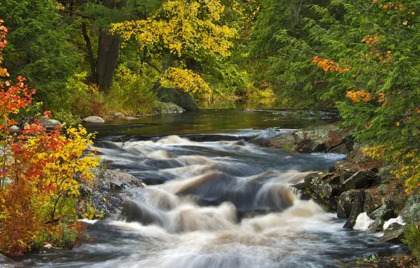 Картинка осень, лес, река, водопад, Природа