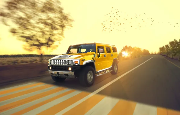 Speed, Hummer, Sun, Yellow, Road, Chrome