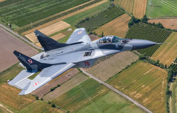 Картинка многоцелевой истребитель, МиГ-29А, ВВС Польши