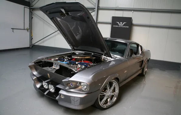 Mustang, Капот, Двигатель, Гараж, Eleanor, Shelby GT500