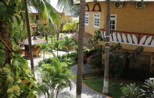 Природа, Дома, Пальмы, Парк, Растения, Nature, Park, Palm Trees