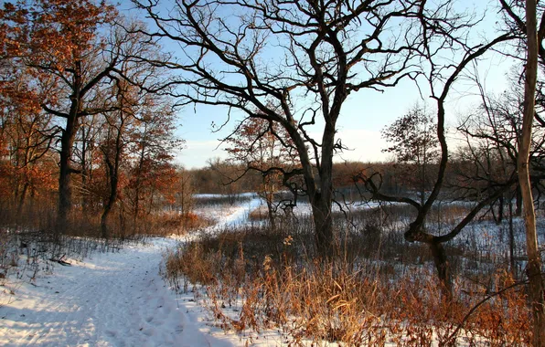 Картинка дорога, осень, снег