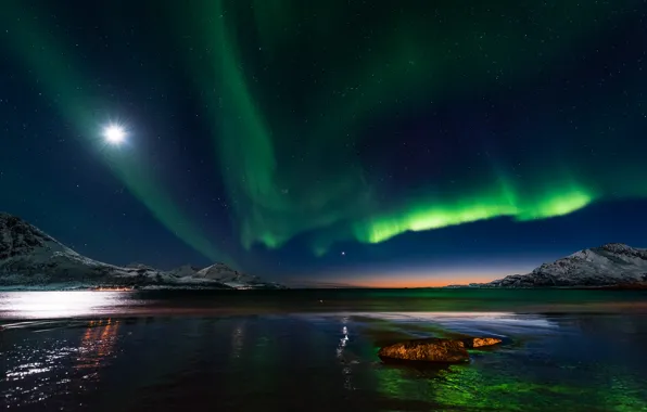 Вода, звезды, деревья, ночь, северное сияние, Норвегия