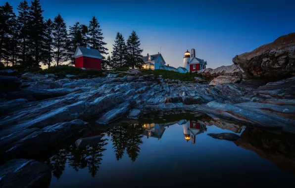 Вода, деревья, отражение, скалы, маяк, Maine, Мэн, Pemaquid Point Lighthouse