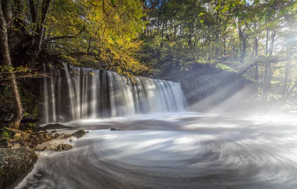 Лес, водопад, Уэльс