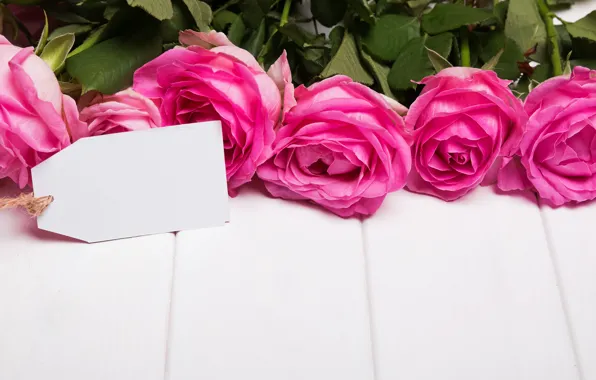 Картинка розы, love, pink, flowers, romantic, roses, розовые розы
