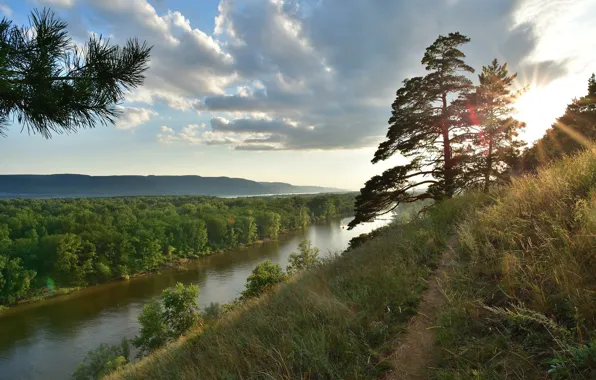 Картинка природа, река, дерево, утро