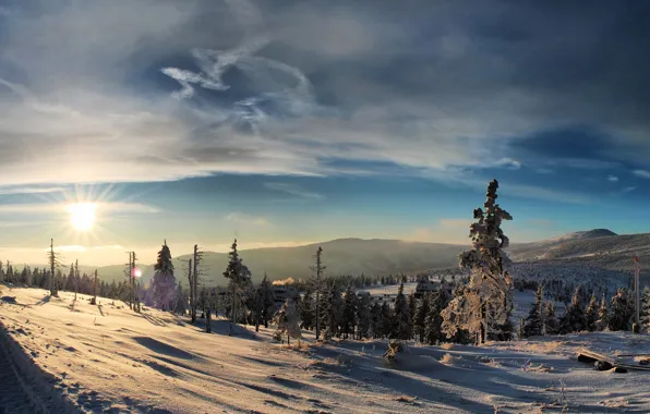 Картинка зима, лес, солнце, снег, закат, горы, мороз