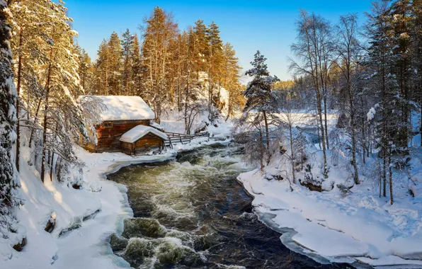 Зима, лес, Финляндия, Kuusamo, Kitkajoki