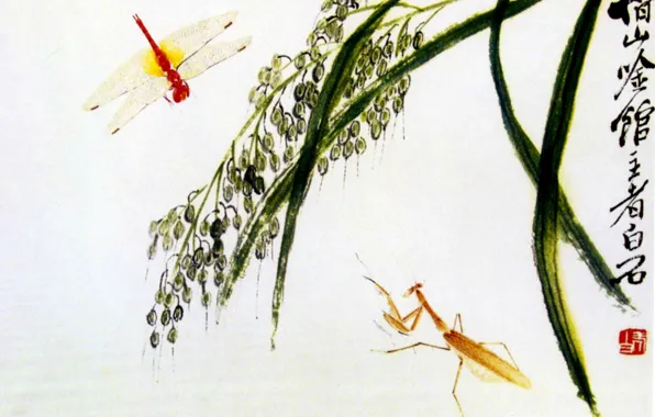 Картинка трава, богомол, стрекоза, белый фон, китайская живопись, Ци Бай-ши
