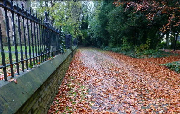 Картинка осень, листва, дорожка, листопад, Autumn, leaves, track, fall